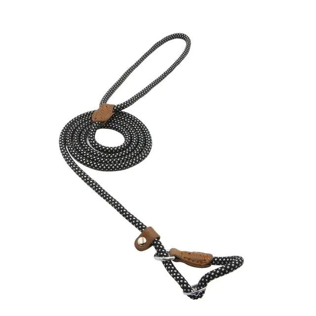 “Durable nylon dog leash with braided rope design, leather accents, and metal hardware, part of adjustable stylish collar and lead set for all breeds.”