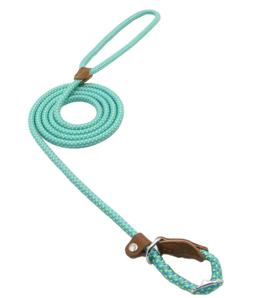 “Durable nylon dog leash with braided rope design, leather accents, and metal hardware, part of adjustable stylish collar and lead set for all breeds.”