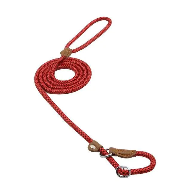 “Durable nylon dog leash with braided rope design, leather accents, and metal hardware, part of adjustable stylish collar and lead set for all breeds.”