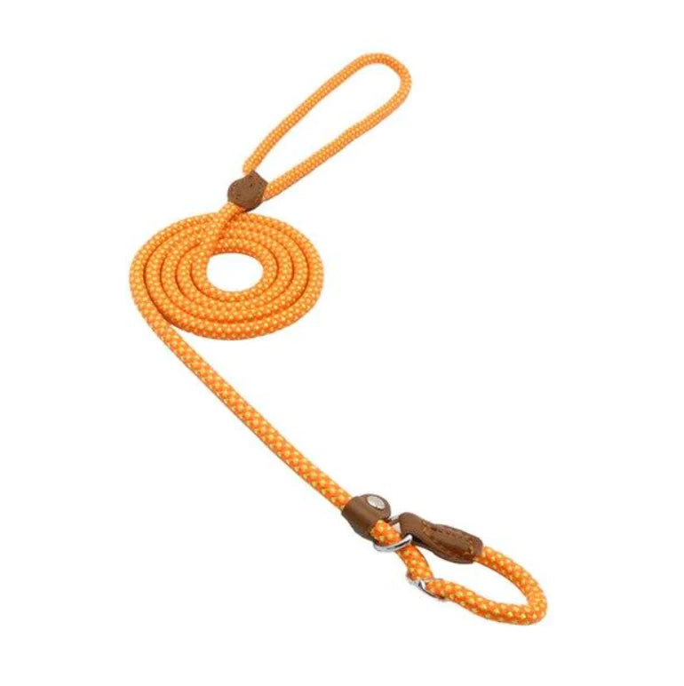 “Durable nylon dog leash with braided rope design, leather accents, and metal hardware, part of adjustable stylish collar and lead set for all breeds.”