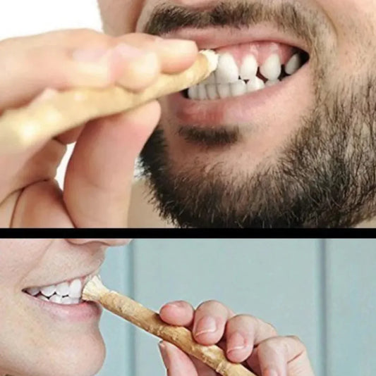 “Natural miswak tooth‑cleaning stick used for traditional oral hygiene, thin 15cm wood branch with frayed brushing tip.”