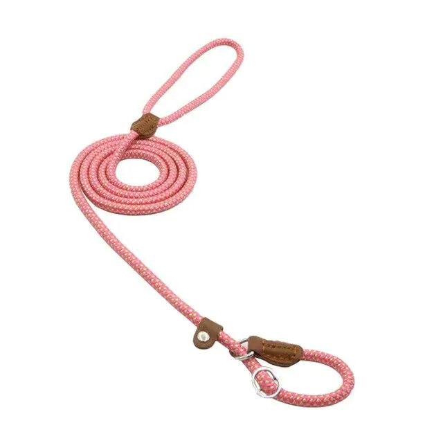 “Durable nylon dog leash with braided rope design, leather accents, and metal hardware, part of adjustable stylish collar and lead set for all breeds.”