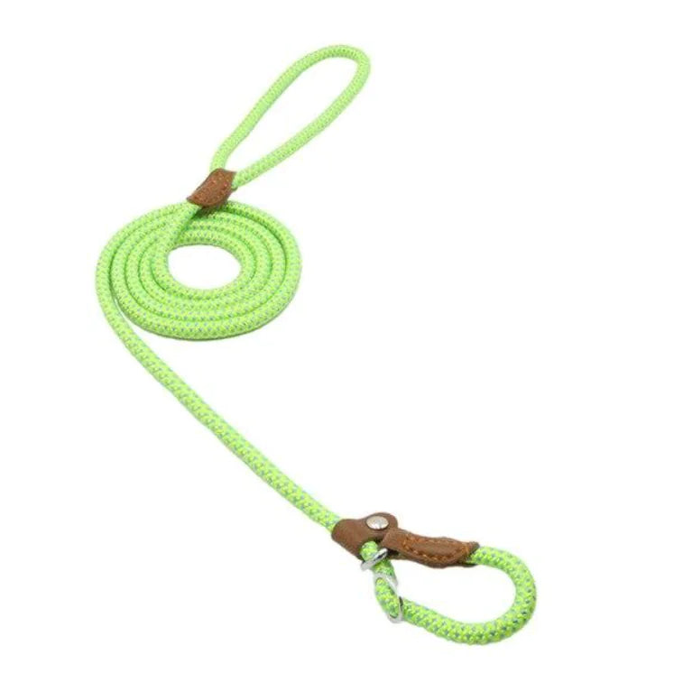 “Durable nylon dog leash with braided rope design, leather accents, and metal hardware, part of adjustable stylish collar and lead set for all breeds.”