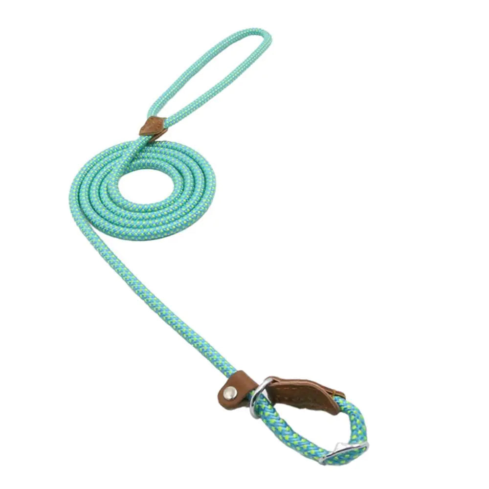 “Durable nylon dog leash with braided rope design, leather accents, and metal hardware, part of adjustable stylish collar and lead set for all breeds.”