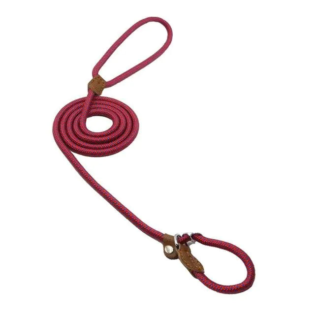 “Durable nylon dog leash with braided rope design, leather accents, and metal hardware, part of adjustable stylish collar and lead set for all breeds.”
