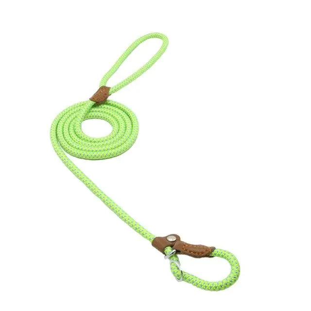 “Durable nylon dog leash with braided rope design, leather accents, and metal hardware, part of adjustable stylish collar and lead set for all breeds.”