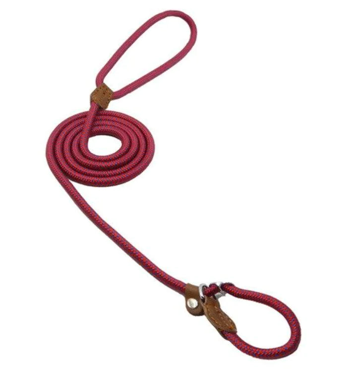 “Durable nylon dog leash with braided rope design, leather accents, and metal hardware, part of adjustable stylish collar and lead set for all breeds.”