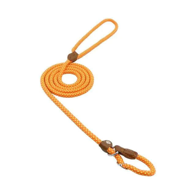 “Durable nylon dog leash with braided rope design, leather accents, and metal hardware, part of adjustable stylish collar and lead set for all breeds.”