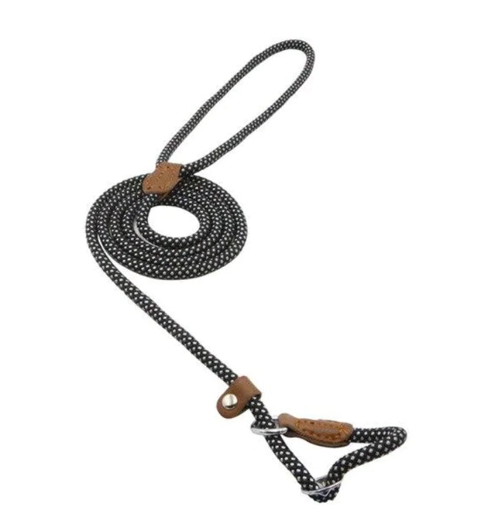 “Durable nylon dog leash with braided rope design, leather accents, and metal hardware, part of adjustable stylish collar and lead set for all breeds.”